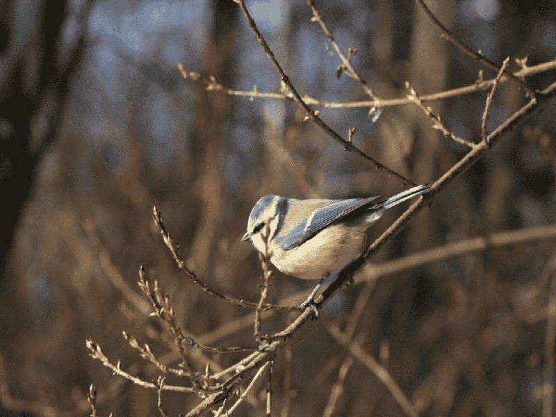 海口代怀最好医院,泰国试管价格高吗？-海口有没有供卵机构_海口供卵试管医院