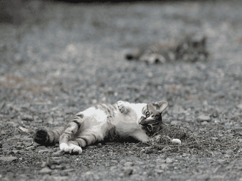 海口试管胚胎的视频（男方争夺试管宝宝）